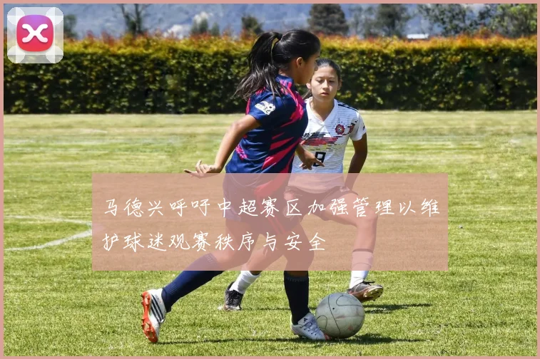 马德兴呼吁中超赛区加强管理以维护球迷观赛秩序与安全
