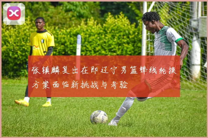 张镇麟复出在即辽宁男篮锋线轮换方案面临新挑战与考验