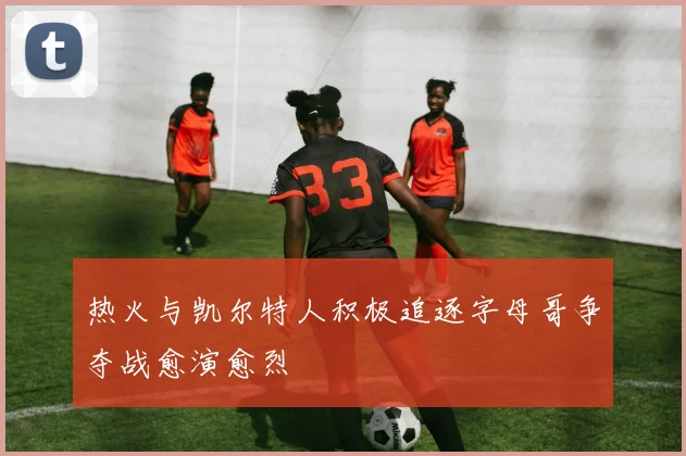 热火与凯尔特人积极追逐字母哥争夺战愈演愈烈